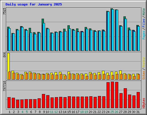 Daily usage for January 2025