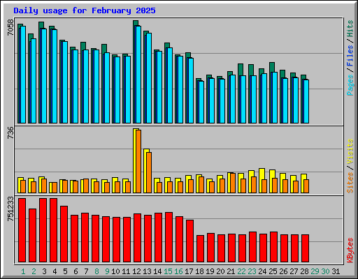 Daily usage for February 2025