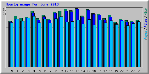 Hourly usage for June 2013