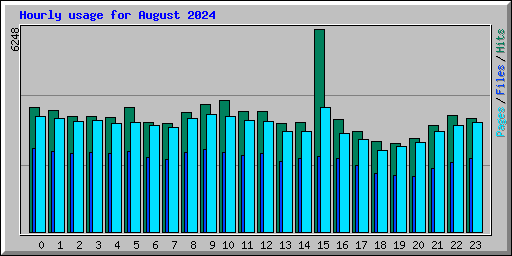 Hourly usage for August 2024
