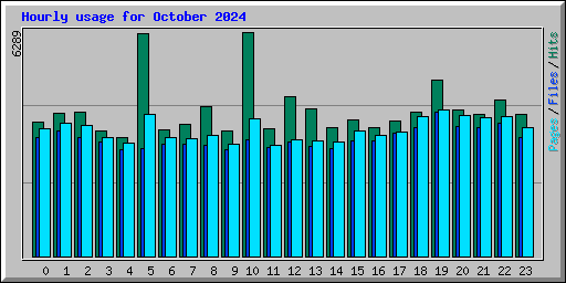 Hourly usage for October 2024
