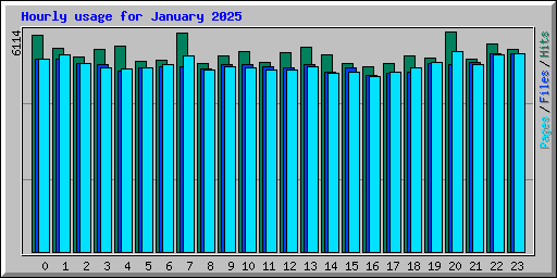 Hourly usage for January 2025