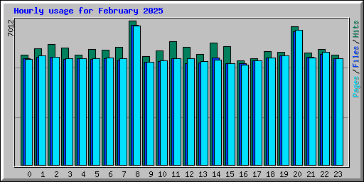 Hourly usage for February 2025
