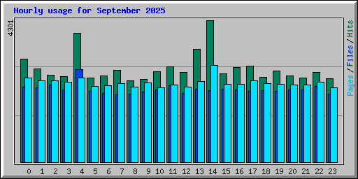 Hourly usage for September 2025