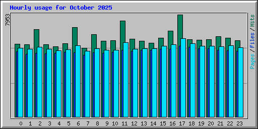 Hourly usage for October 2025
