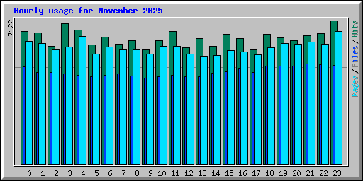 Hourly usage for November 2025
