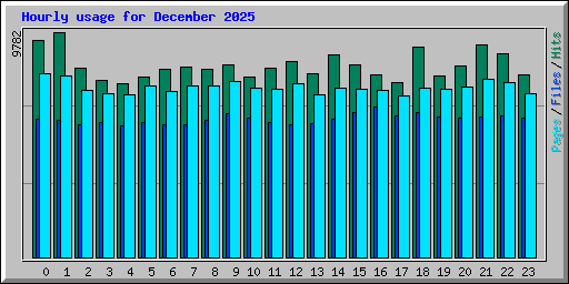 Hourly usage for December 2025