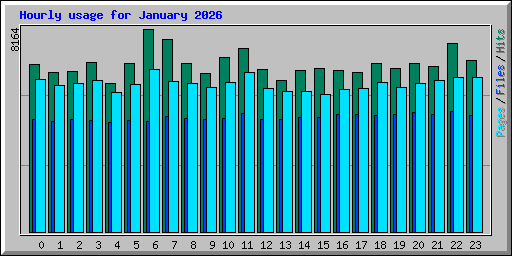 Hourly usage for January 2026